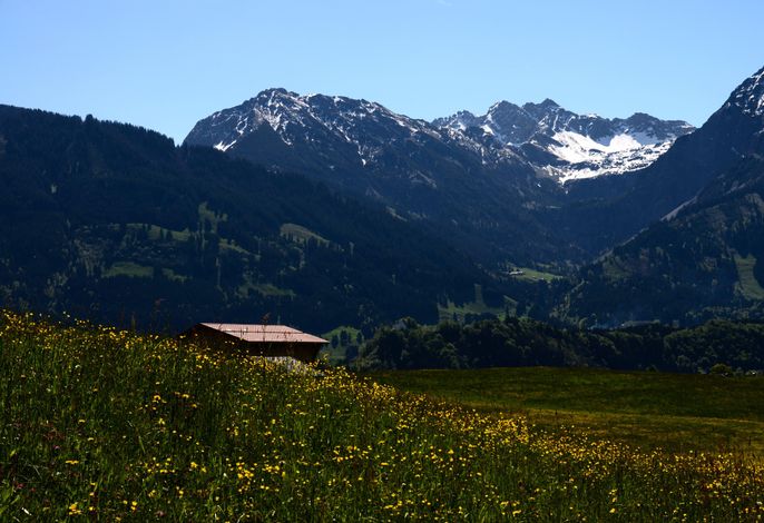 Bild 37