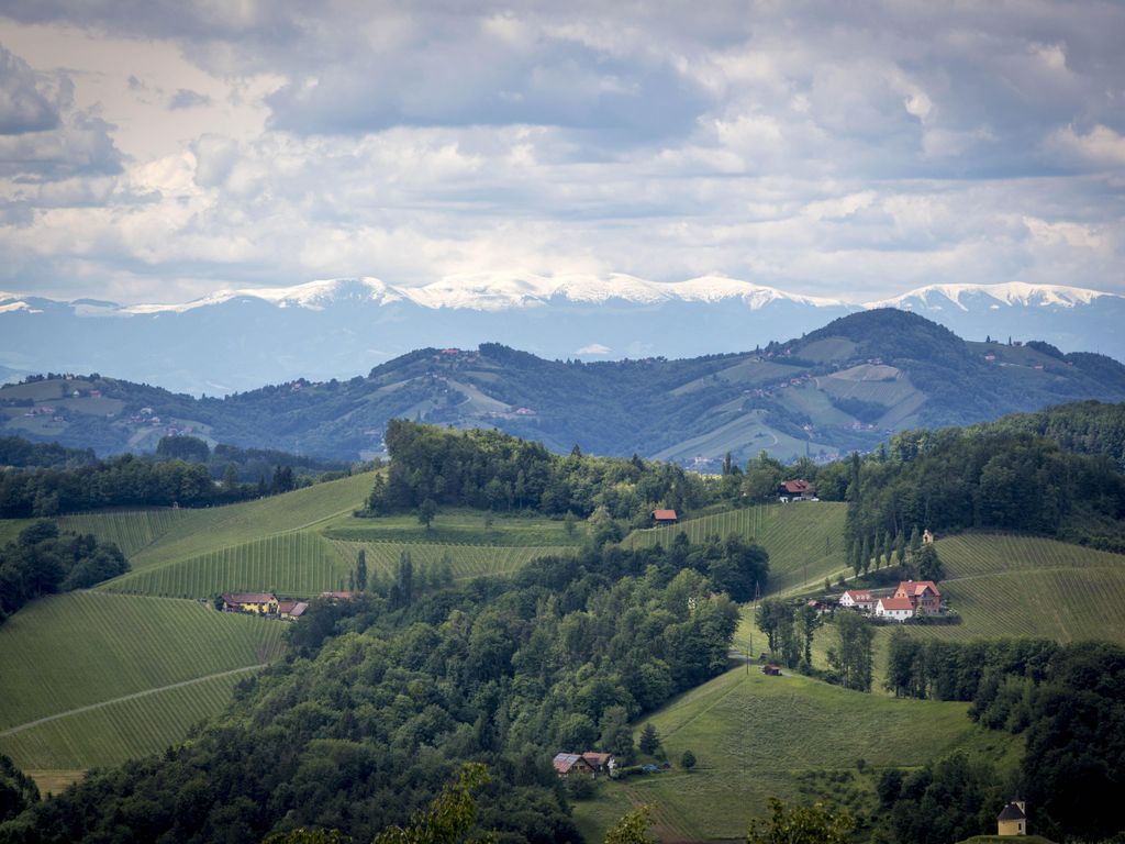 Winzerhotel Wurzenberg Südsteiermark