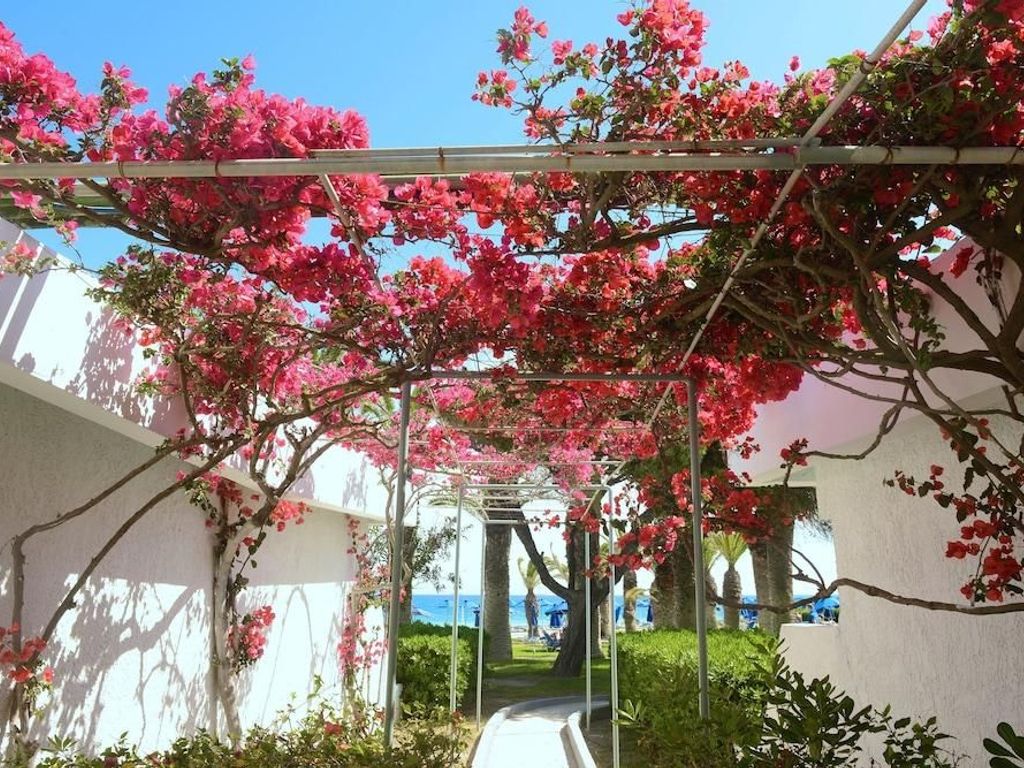 Blue Horizon Hotel