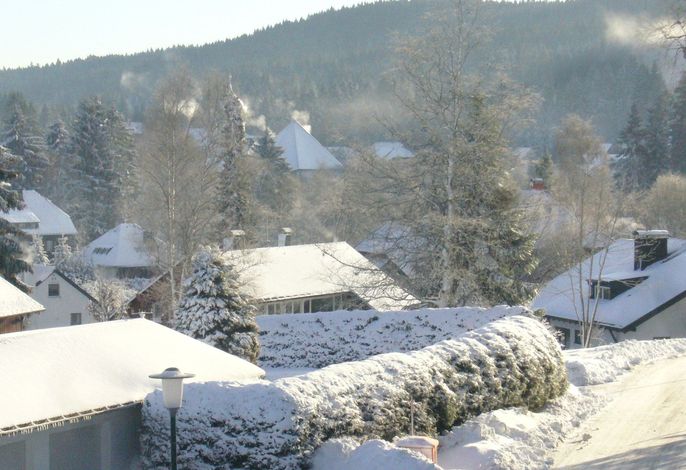 Bild 14