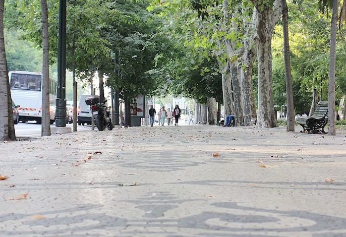 Bild 57