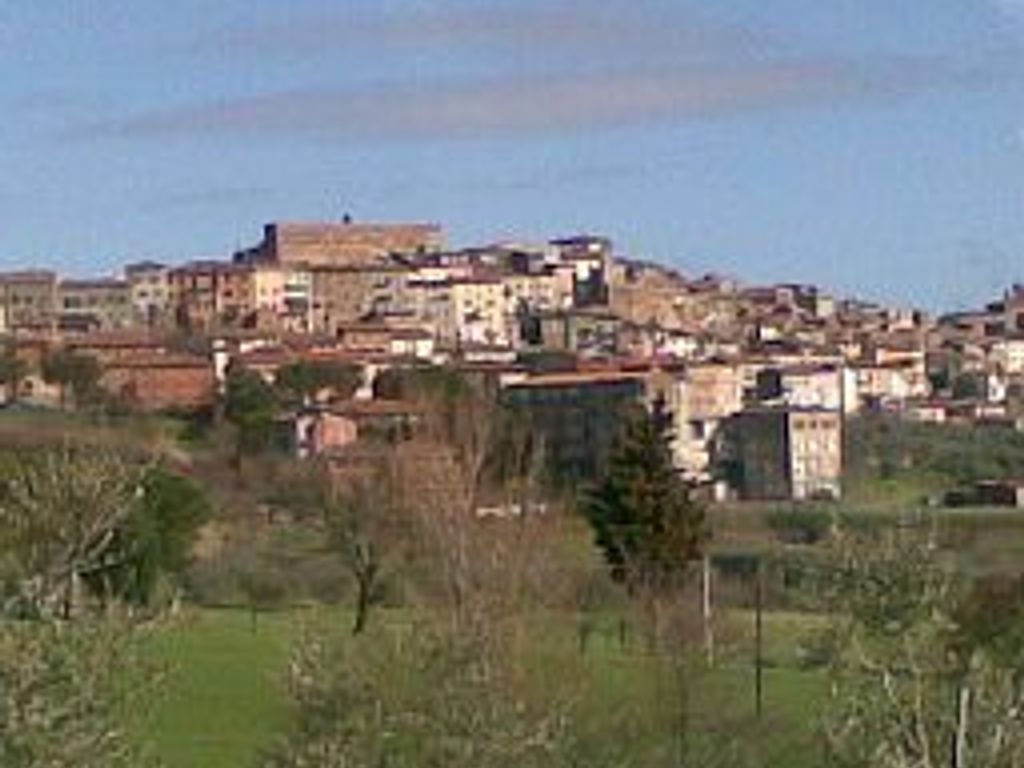 Ave Hotel