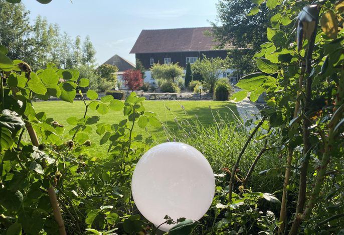 Bild 16
