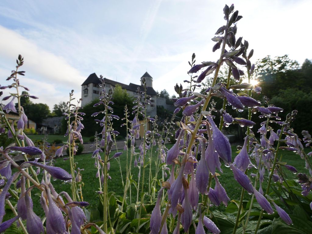 Hotel Schloss Matzen