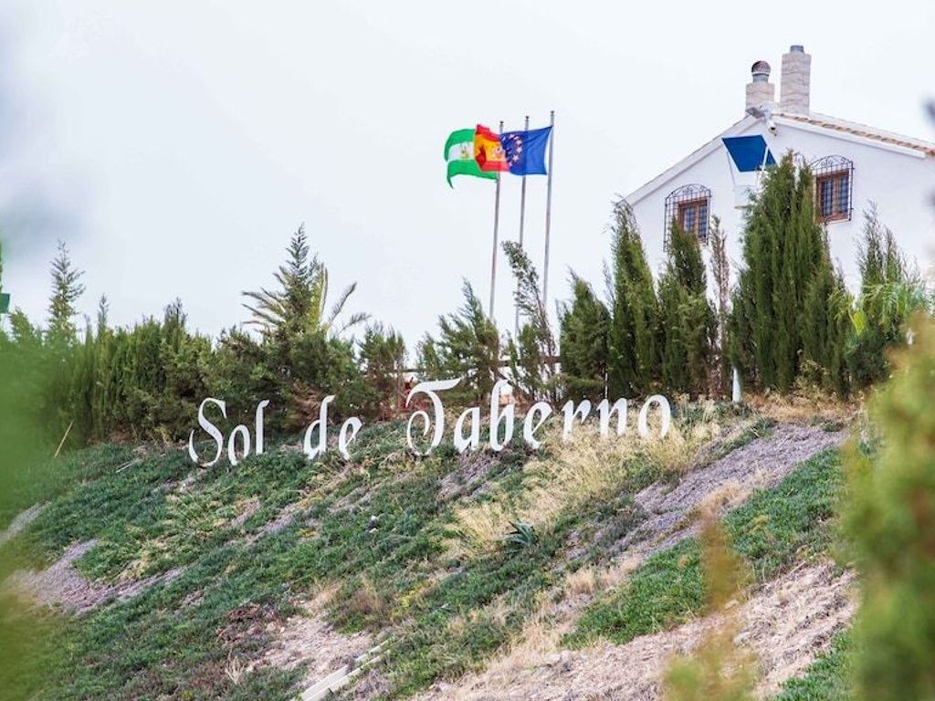 Sol de Taberno
