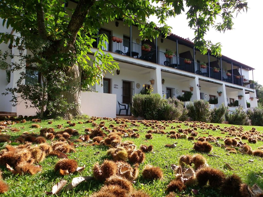 Media Legua Apartamentos Rurales