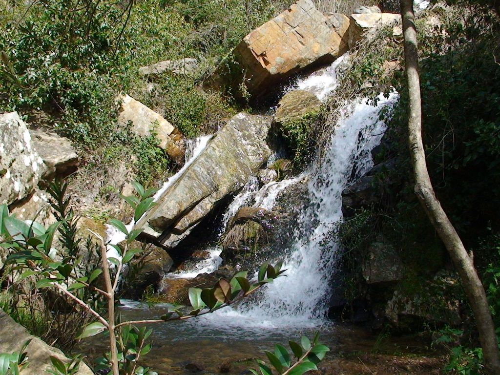 Media Legua Apartamentos Rurales