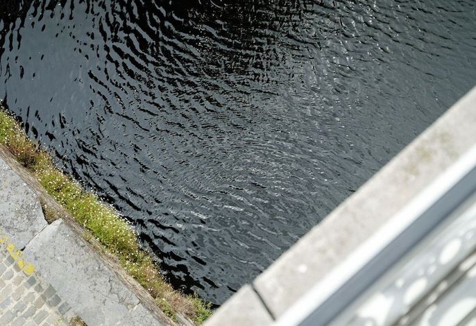 Bild 81
