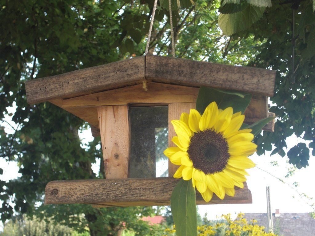 Sonnenhof im Grünen