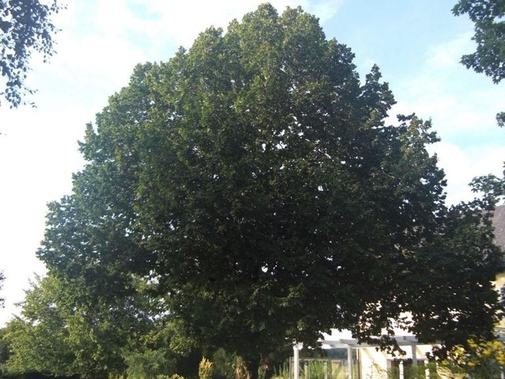 Sonnenhof im Grünen