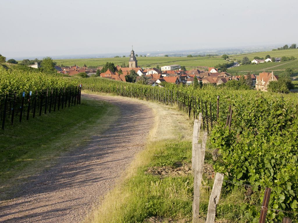Villa Hochdörffer Weingut & Gästehaus