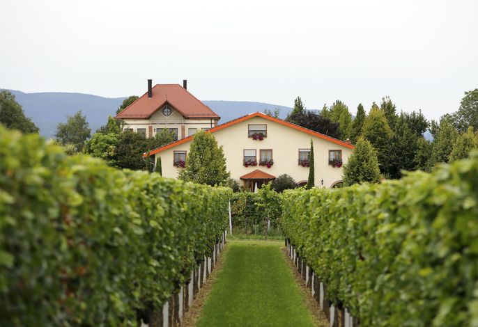 Villa Hochdörffer Weingut & Gästehaus
