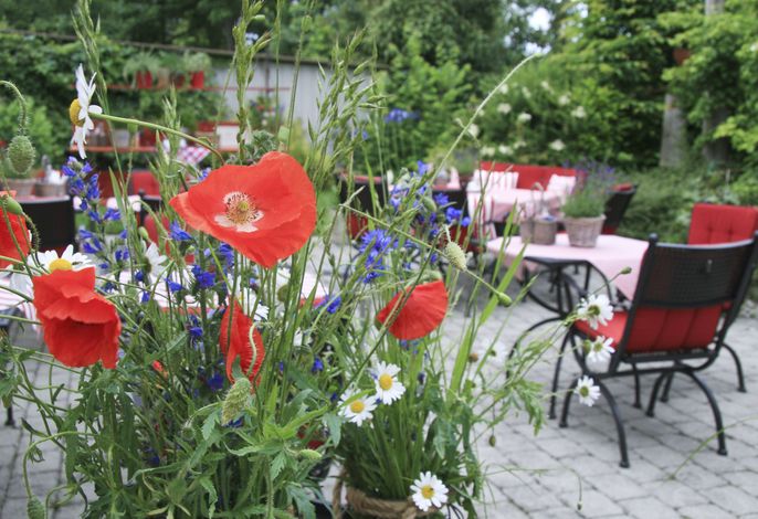 Bild 24