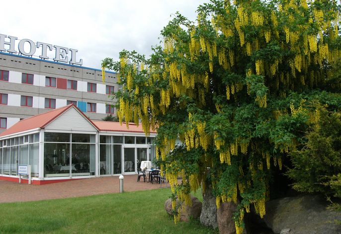 Bild 41
