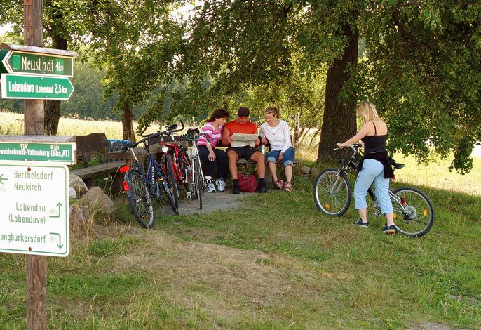 Bild 18