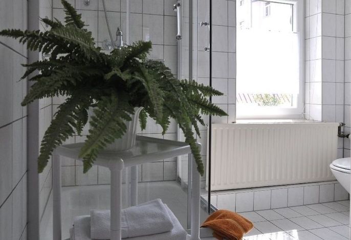 Bild 41
