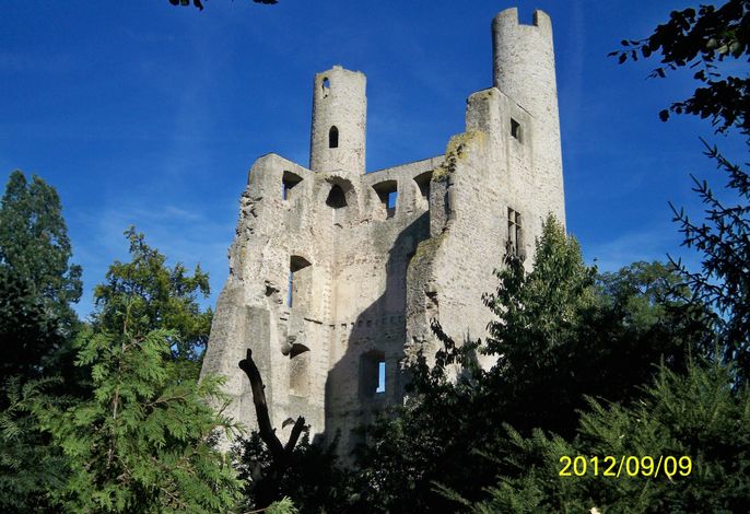 Bild 11