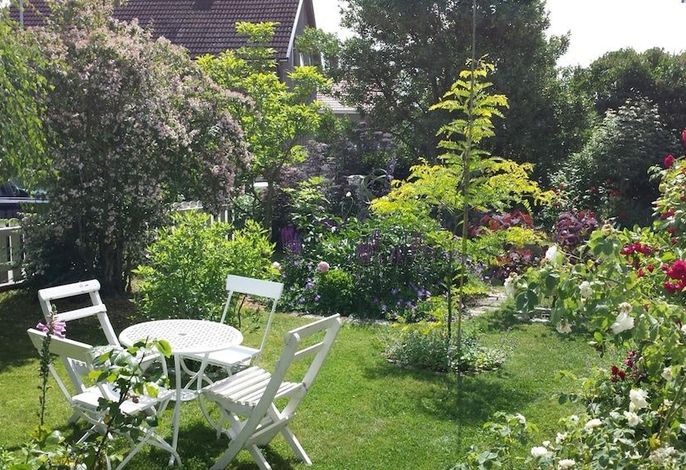 Bild 46