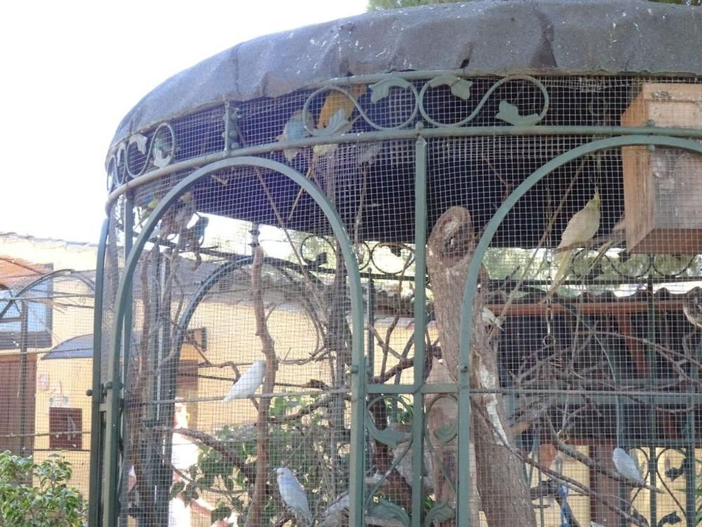 B&B Villa San Marco