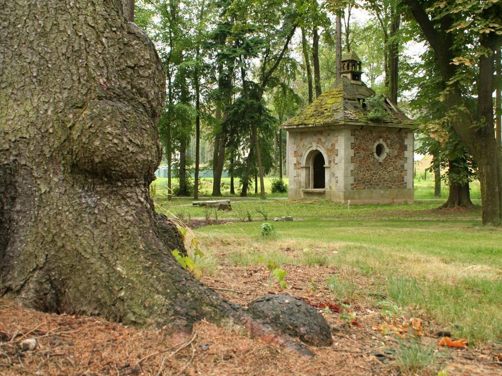 Chateau Kynšperk