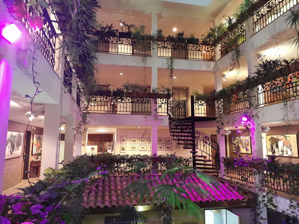 Solitaire Hotel & Boardinghouse