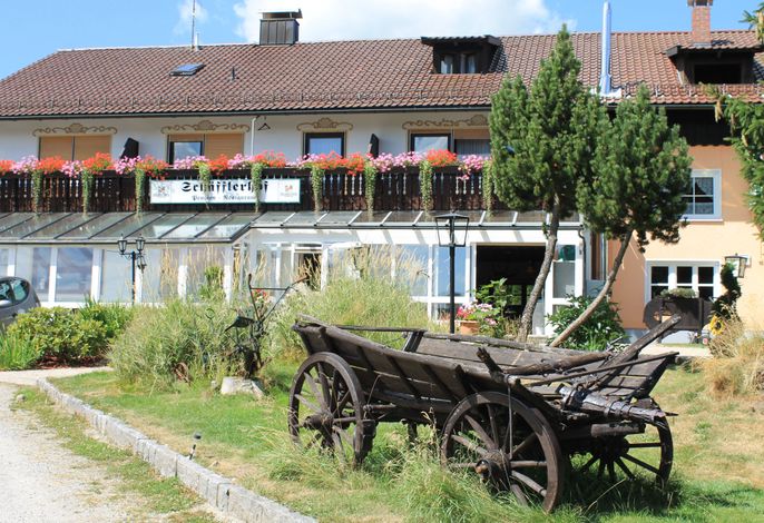 Bild 15