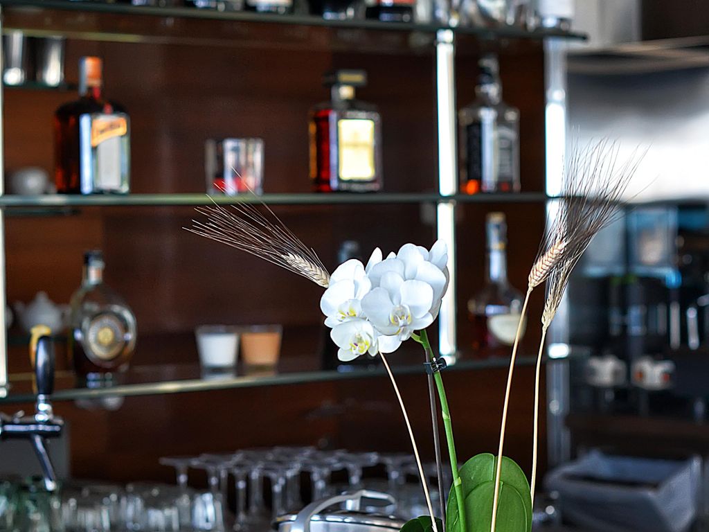 Hotel Ascot & SPA