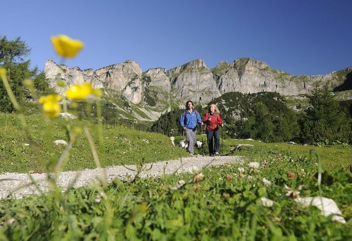 Bild 16