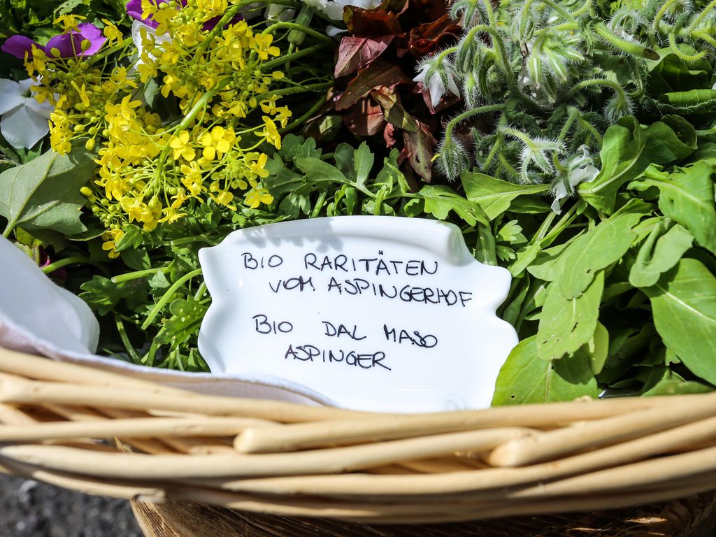 Haus an der Luck