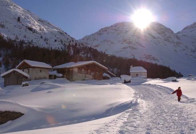 Bild 21