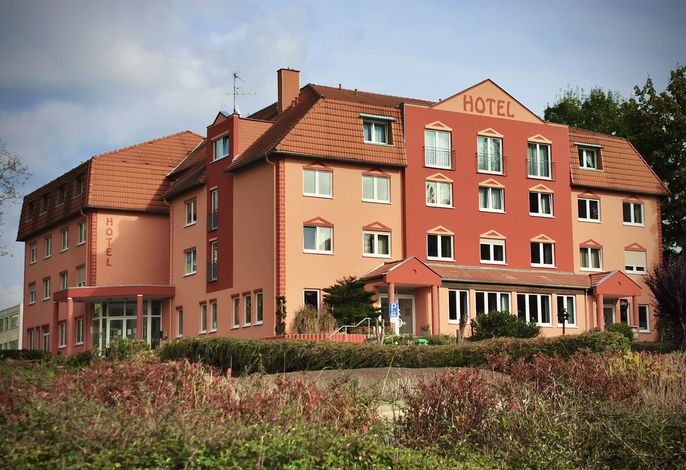 Meister Bär Wettiner Hof