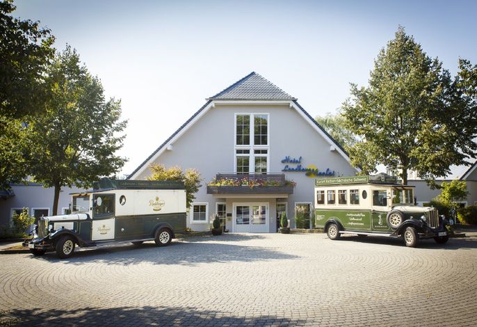 Bild 12
