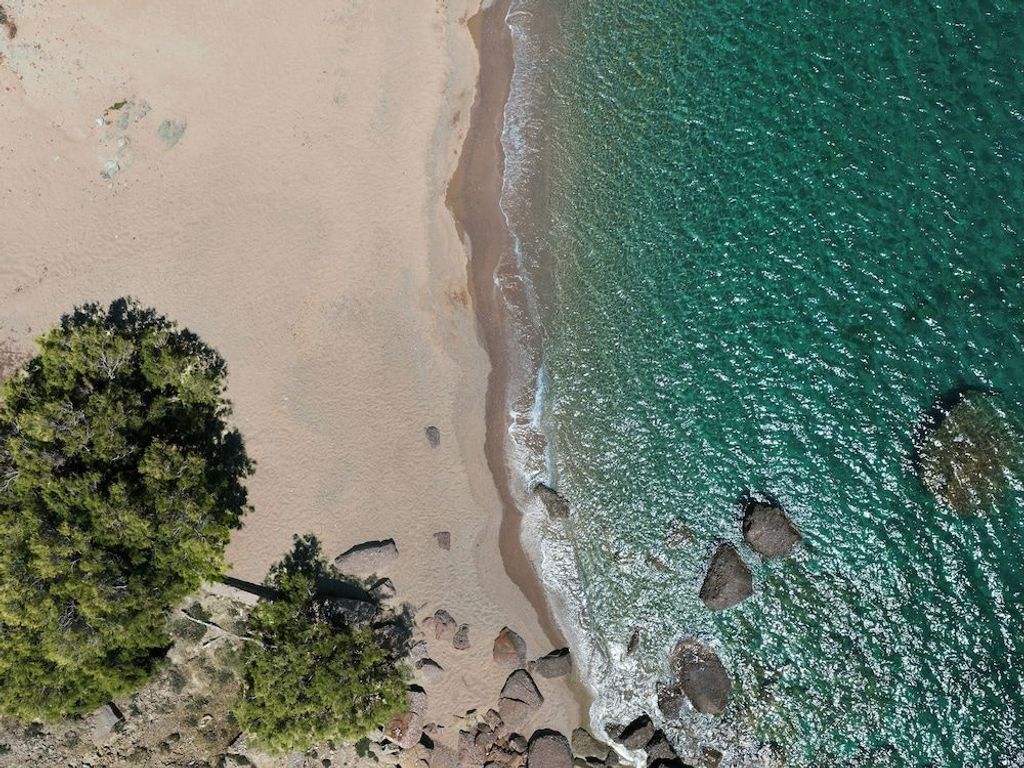 A Resort to Live Mykonos Lolita