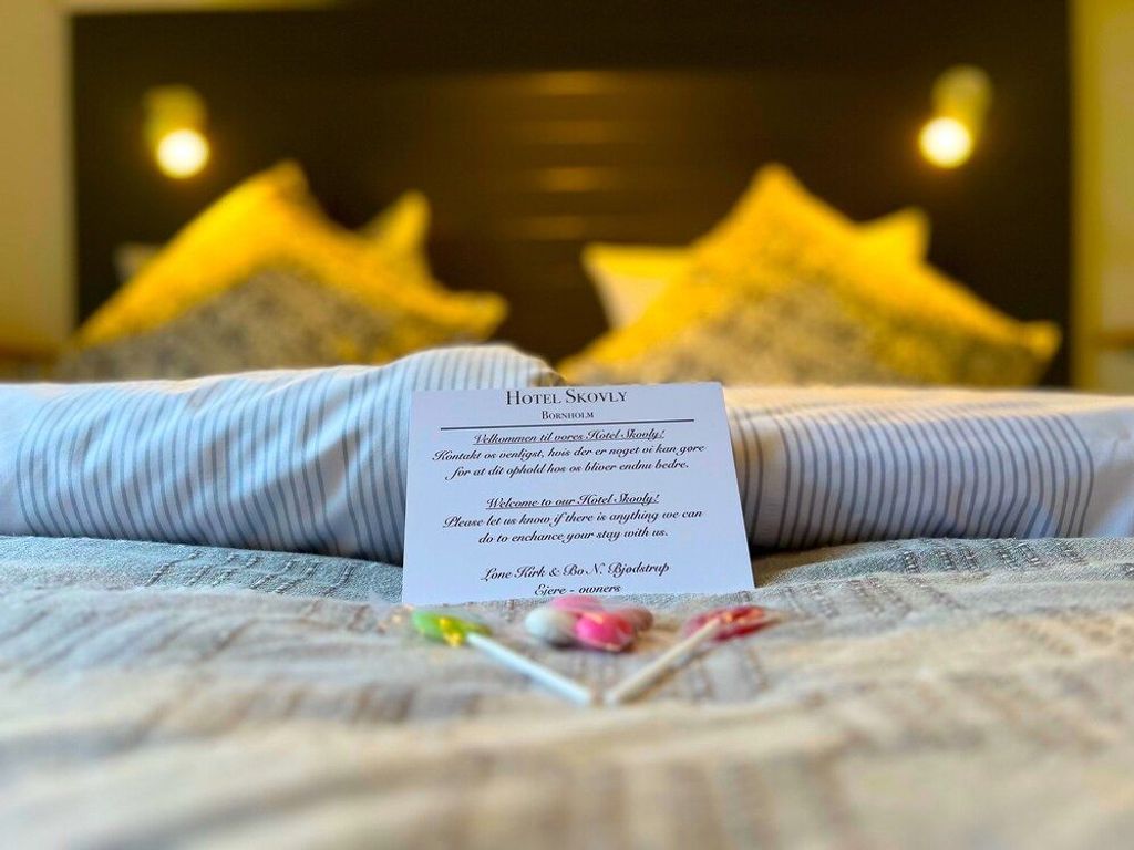 Hotel Skovly