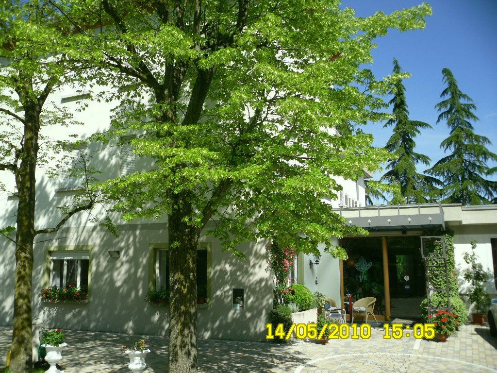 Park Hotel Fantoni