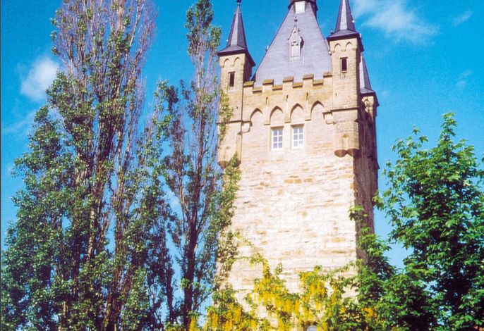 Bild 3