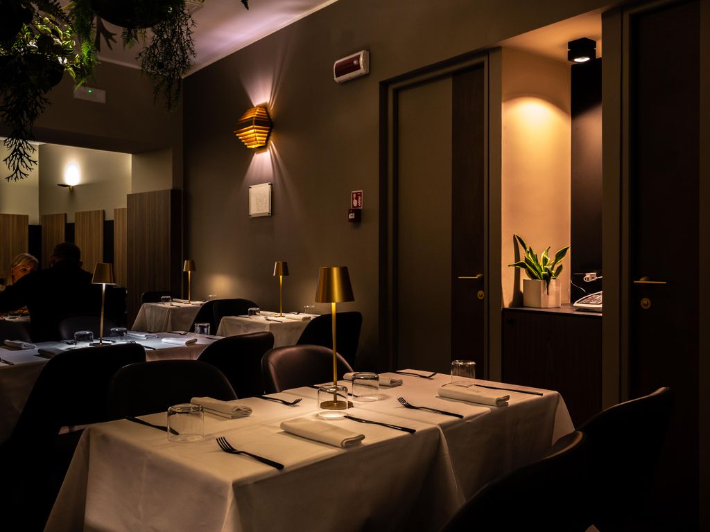 Trevi Collection