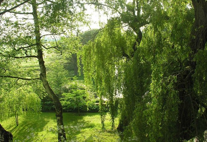 Bild 19