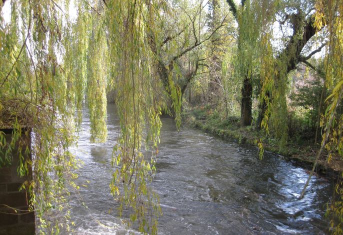 Bild 24