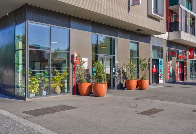 Bild 38
