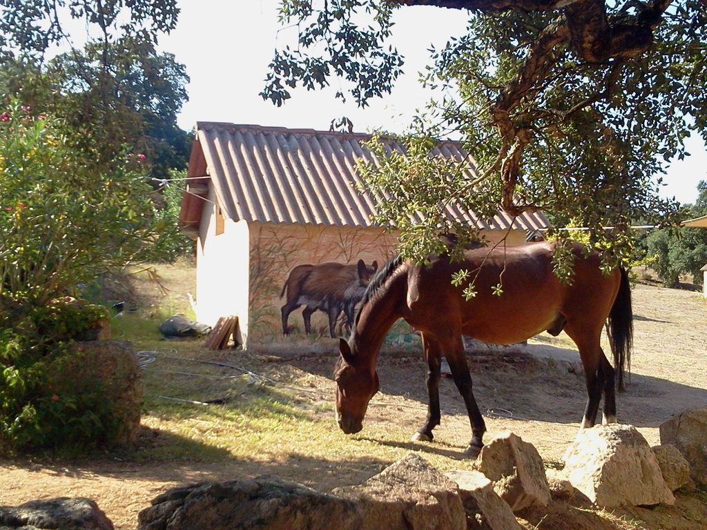 Borgo di Campagna