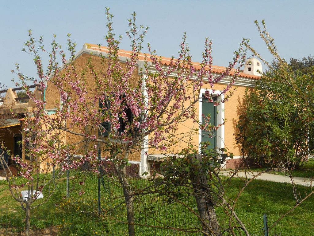 Borgo di Campagna