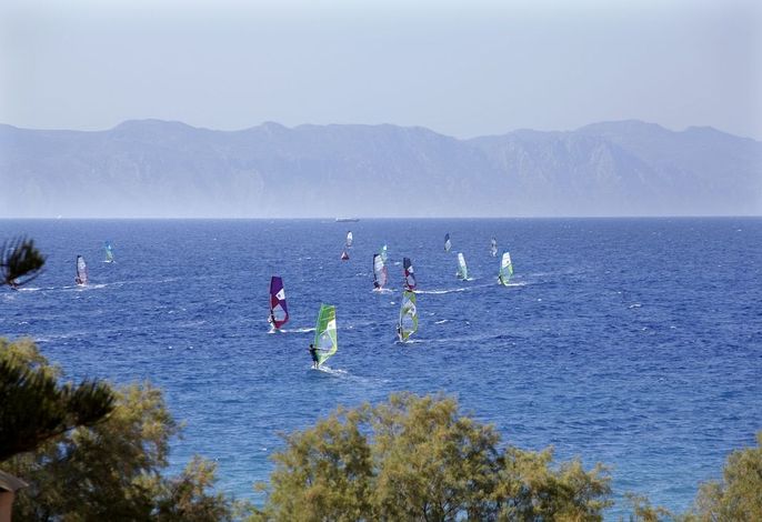 Bild 110