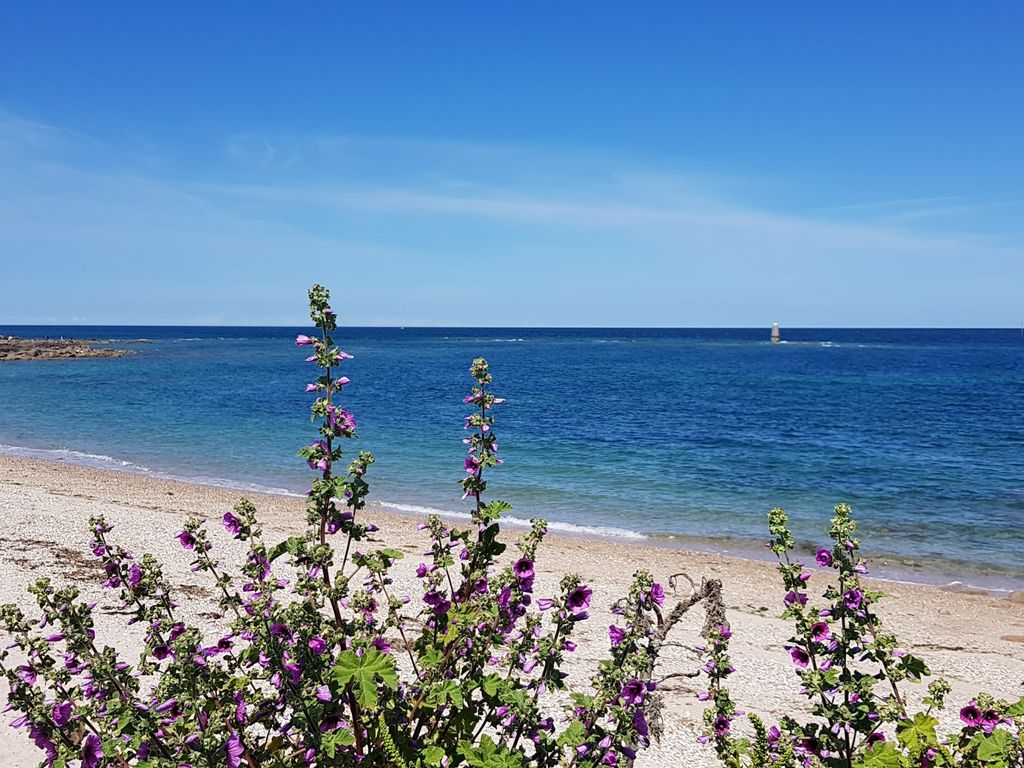 Au Moyne de Saire