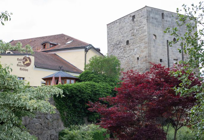 Bild 24