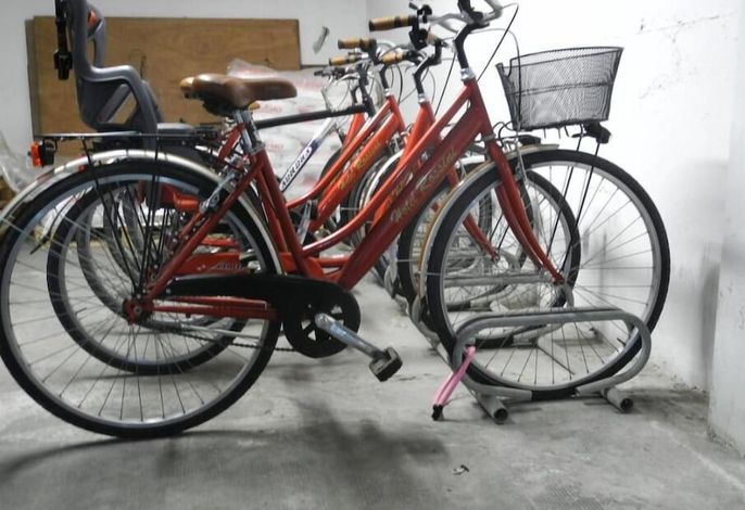 Bild 12