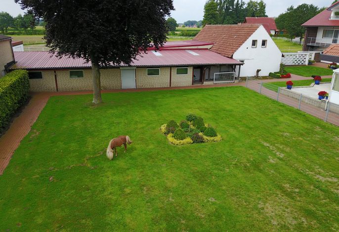 Bild 12