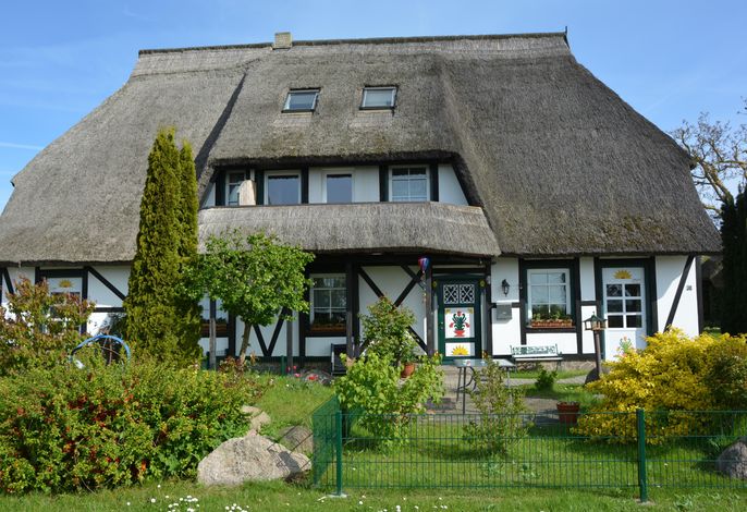 Bild 31