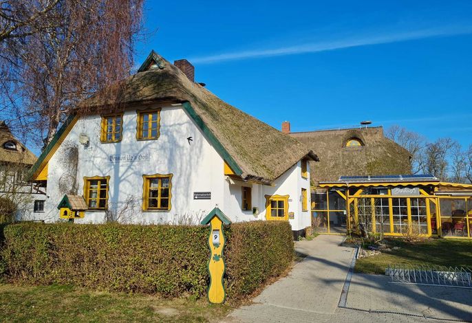 Bild 12
