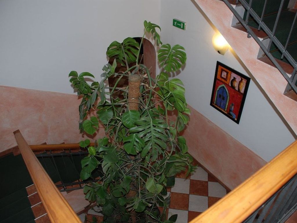 Hotel Bogart 2